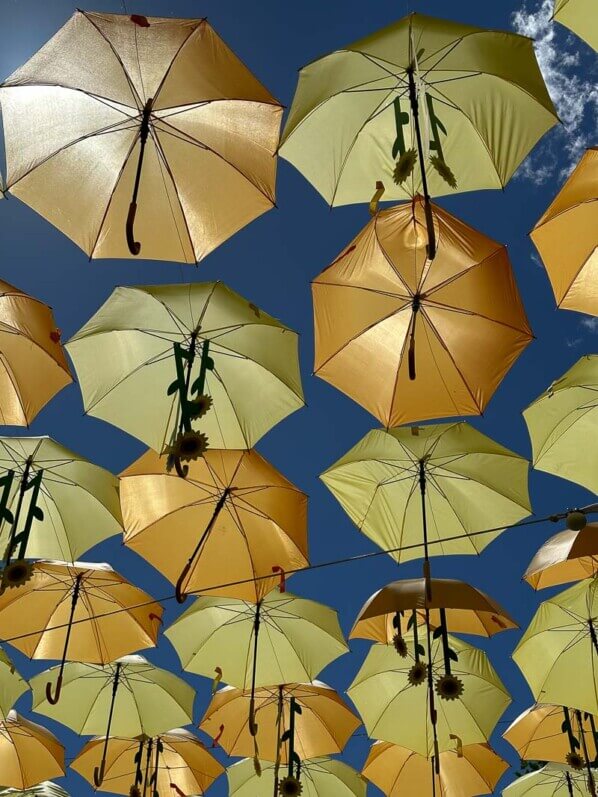 Parapluies et tournesols, installation de Patricia Cunha, Bercy Village, Paris 12e (75)