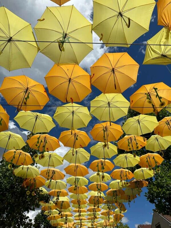 Parapluies et tournesols, installation de Patricia Cunha, Bercy Village, Paris 12e (75)