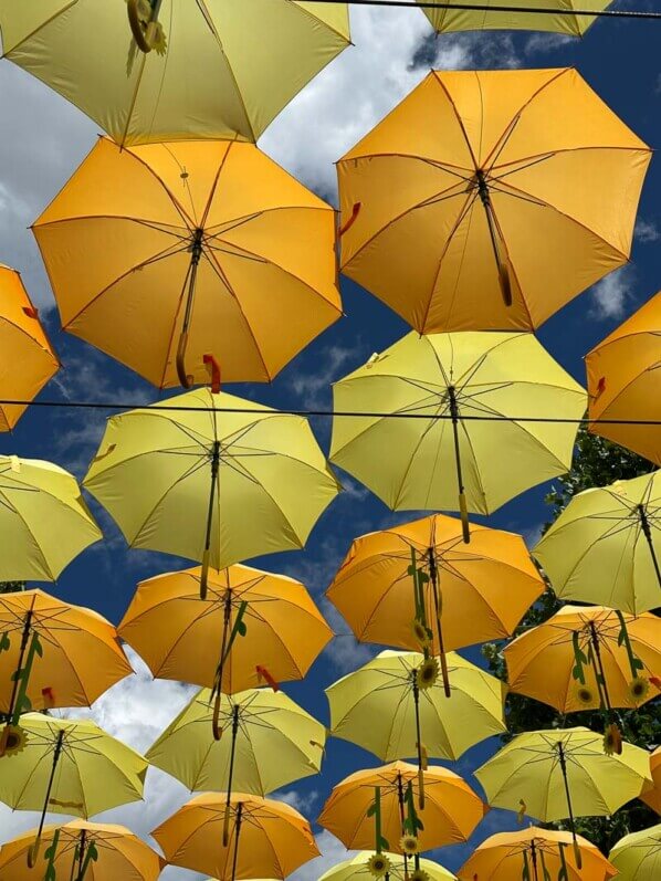 Parapluies et tournesols, installation de Patricia Cunha, Bercy Village, Paris 12e (75)