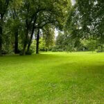 Pelouse en été dans le parc de Bagatelle, Paris 16e (75)