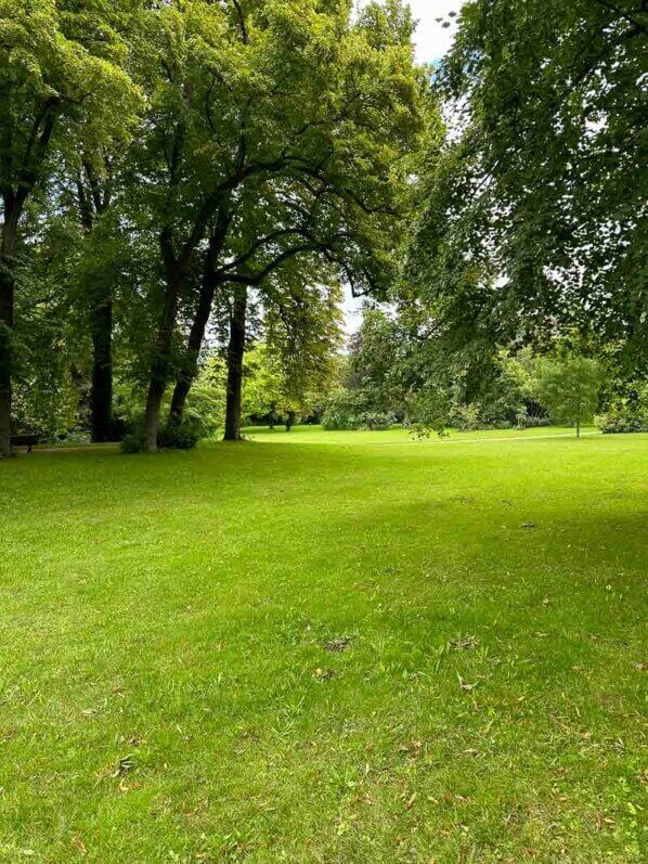Pelouse en été dans le parc de Bagatelle, Paris 16e (75)