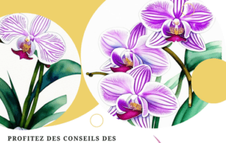 Atelier Orchidée 75, Péniche Café:Librairie botanique L'eau Et Les Rêves
