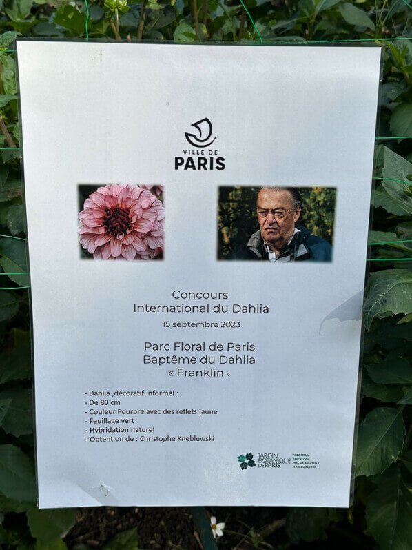 Baptême du dahlia Franklin, parc floral, Paris 12e (75)