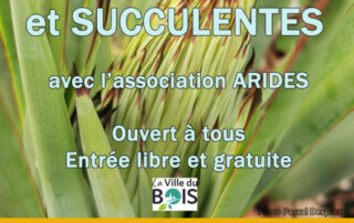 Foire aux cactus et succulentes à La Ville du Bois (91) les 21 et 22 octobre 2023