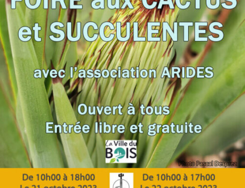 Foire aux cactus et succulentes à La Ville du Bois (91) les 21 et 22 octobre 2023