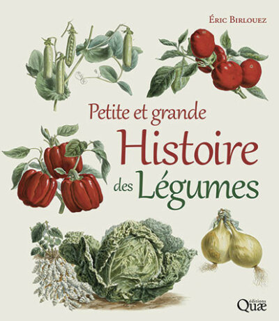 Petite et grande histoire des légumes. Éric Birlouez, Éditions Quae, octobre 2023.