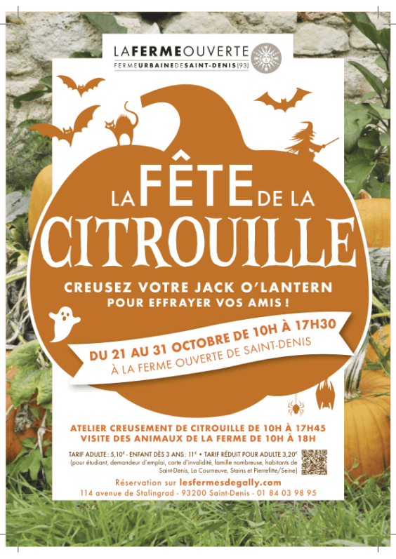 Lire la suite à propos de l’article La Fête de la Citrouille à la Ferme de Gally de Saint-Denis (93)
