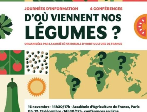 16 novembre 2023, conférence “D’où viennent nos légumes” (Paris 7e)