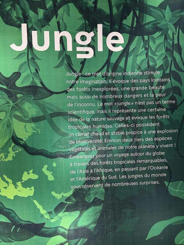 Jungle en voie d'illumination, Jardin des Plantes, Paris 5e (75)