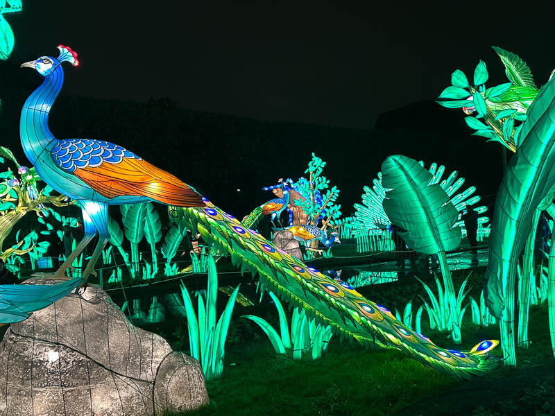Jungle en voie d'illumination, Jardin des Plantes, Paris 5e (75)