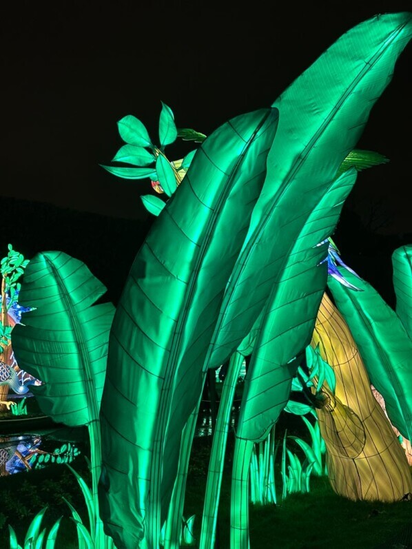 Jungle en voie d'illumination, Jardin des Plantes, Paris 5e (75)