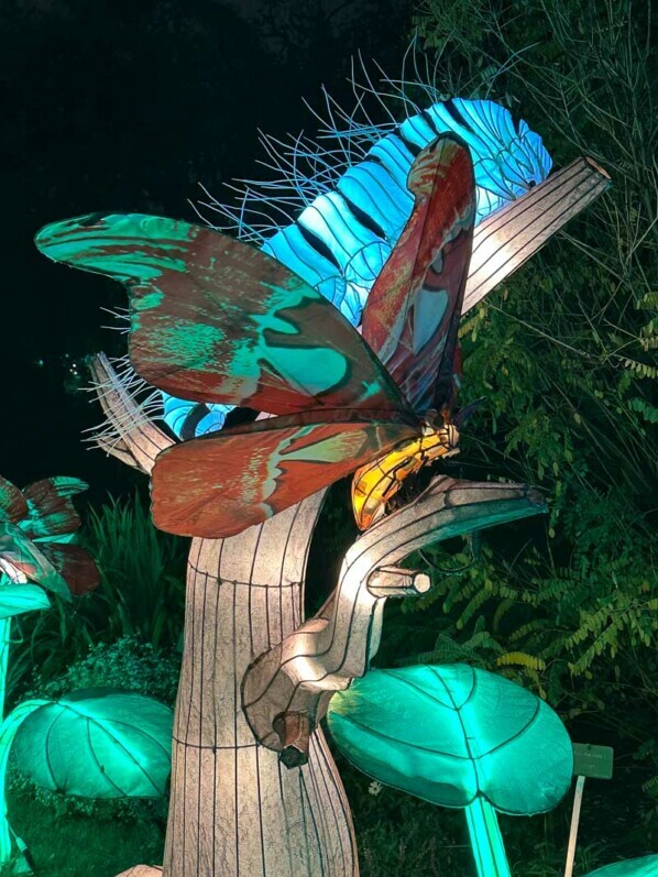 Jungle en voie d'illumination, Jardin des Plantes, Paris 5e (75)