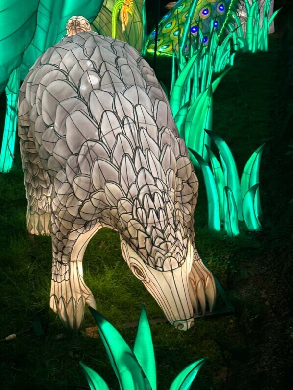 Jungle en voie d'illumination, Jardin des Plantes, Paris 5e (75)