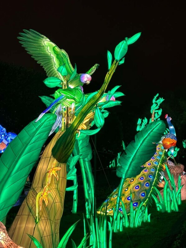 Jungle en voie d'illumination, Jardin des Plantes, Paris 5e (75)