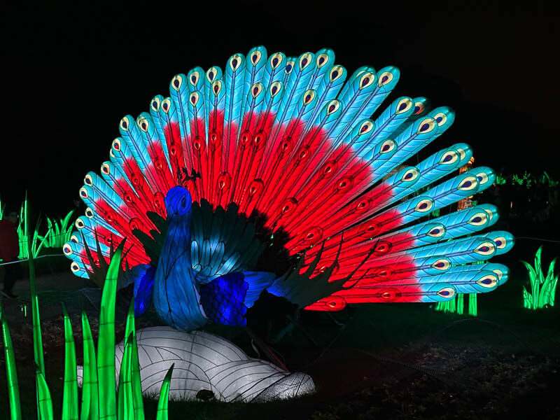 Jungle en voie d'illumination, Jardin des Plantes, Paris 5e (75)