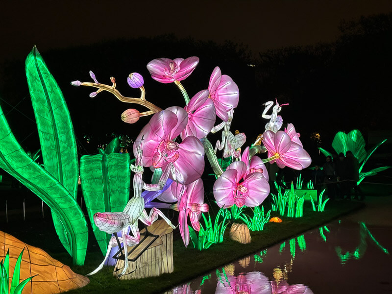 Jungle en voie d'illumination, Jardin des Plantes, Paris 5e (75)