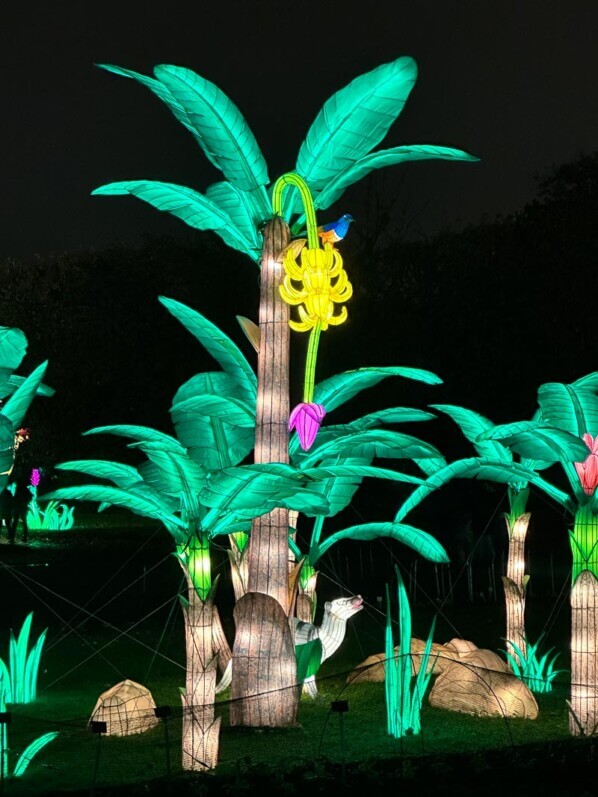 Jungle en voie d'illumination, Jardin des Plantes, Paris 5e (75)