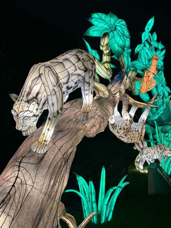 Jungle en voie d'illumination, Jardin des Plantes, Paris 5e (75)