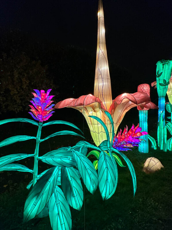 Jungle en voie d'illumination, Jardin des Plantes, Paris 5e (75)