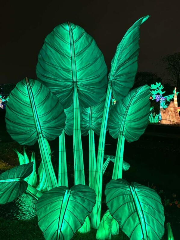 Jungle en voie d'illumination, Jardin des Plantes, Paris 5e (75)