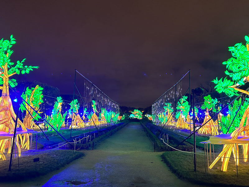 Jungle en voie d'illumination, Jardin des Plantes, Paris 5e (75)