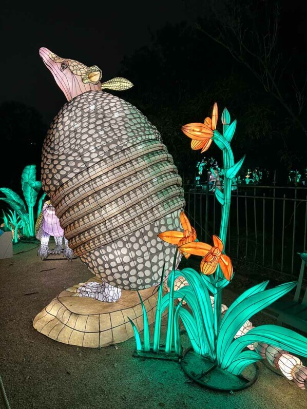 Jungle en voie d'illumination, Jardin des Plantes, Paris 5e (75)