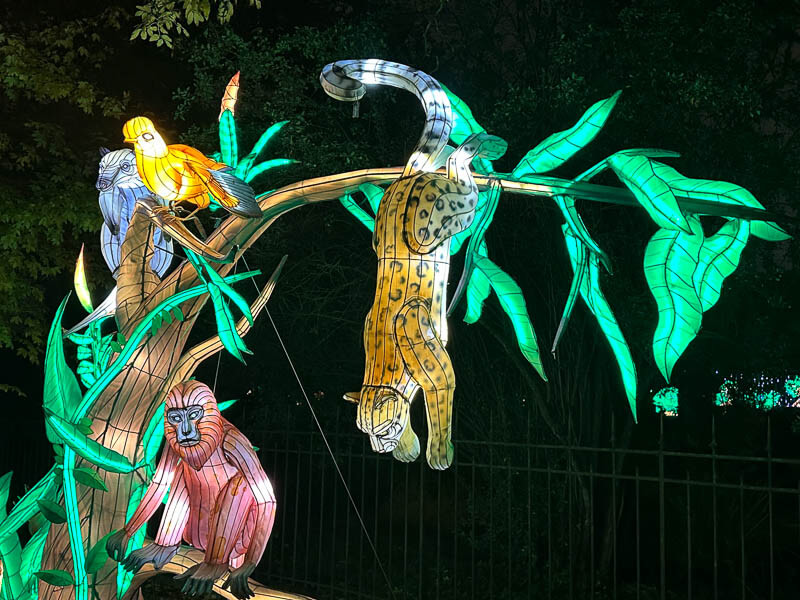 Jungle en voie d'illumination, Jardin des Plantes, Paris 5e (75)