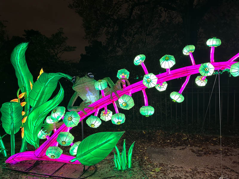 Jungle en voie d'illumination, Jardin des Plantes, Paris 5e (75)