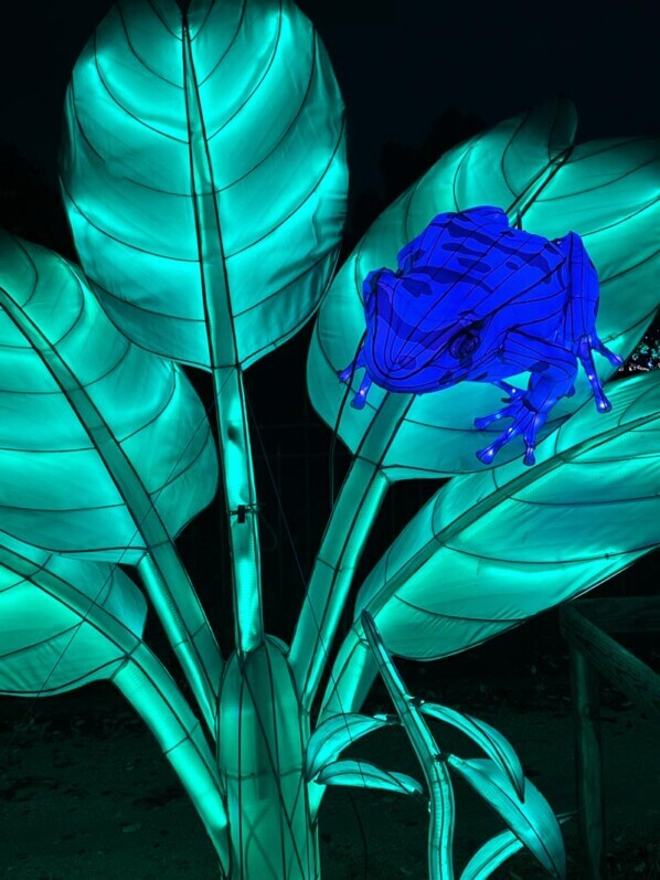 Jungle en voie d'illumination, Jardin des Plantes, Paris 5e (75)