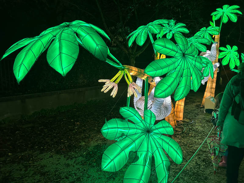 Jungle en voie d'illumination, Jardin des Plantes, Paris 5e (75)