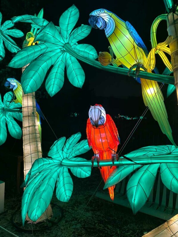 Jungle en voie d'illumination, Jardin des Plantes, Paris 5e (75)