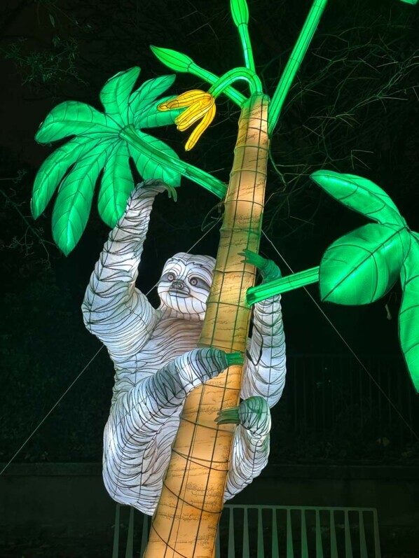 Jungle en voie d'illumination, Jardin des Plantes, Paris 5e (75)