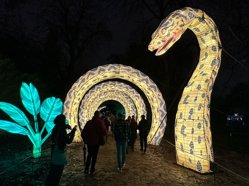 Jungle en voie d'illumination, Jardin des Plantes, Paris 5e (75)