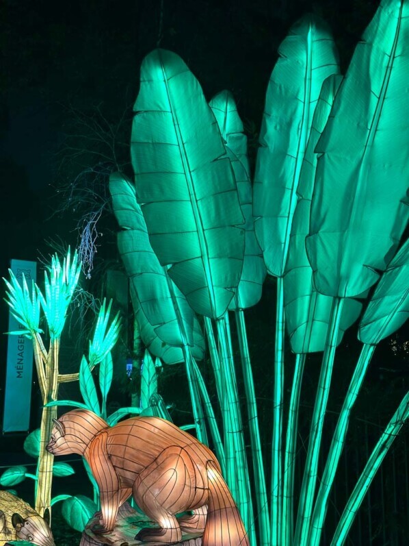 Jungle en voie d'illumination, Jardin des Plantes, Paris 5e (75)