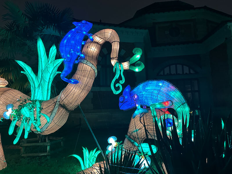 Jungle en voie d'illumination, Jardin des Plantes, Paris 5e (75)