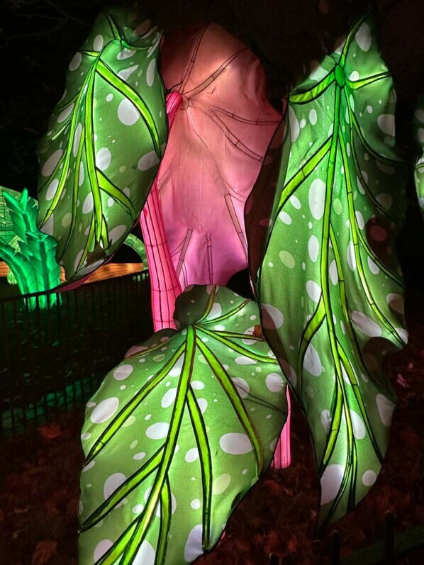 Jungle en voie d'illumination, Jardin des Plantes, Paris 5e (75)