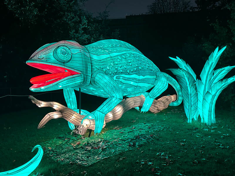 Jungle en voie d'illumination, Jardin des Plantes, Paris 5e (75)