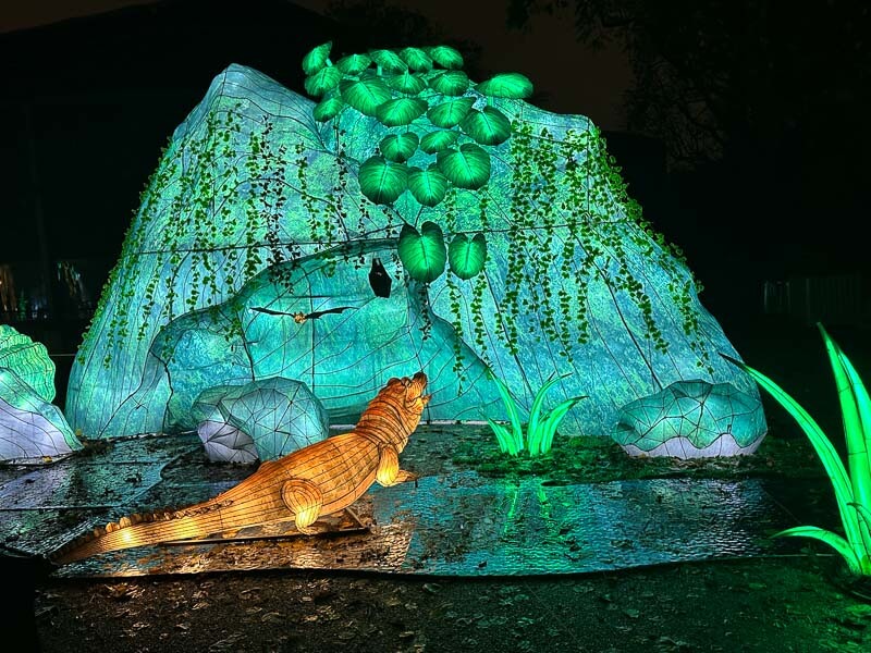 Jungle en voie d'illumination, Jardin des Plantes, Paris 5e (75)