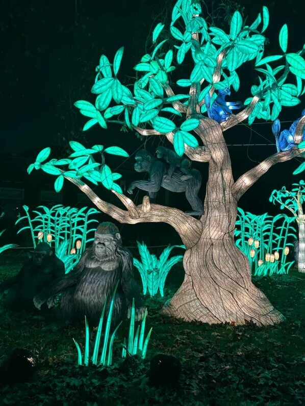 Jungle en voie d'illumination, Jardin des Plantes, Paris 5e (75)