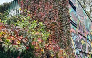 Vigne vierge en automne, street art, rue de l'Ourcq, Paris 19e (75)