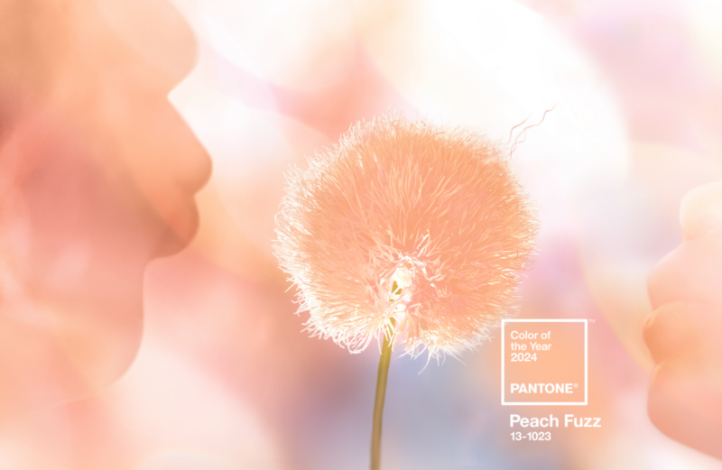 Peach fuzz, la couleur Pantone de l'année 2024