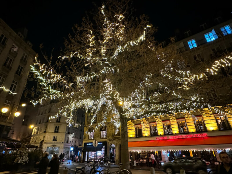 Arbre illuminé, Paris 6e (75)
