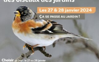 Affiche, comptage des oiseaux des jardins les 27 et 28 janvier 2024