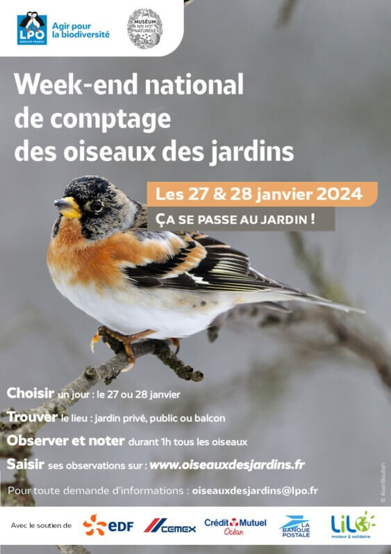 Affiche, comptage des oiseaux des jardins les 27 et 28 janvier 2024