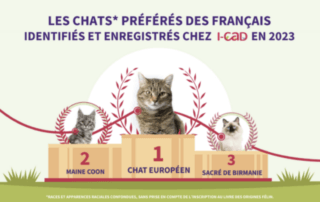 Chats préférés des Français en 2023 (I-CAD)