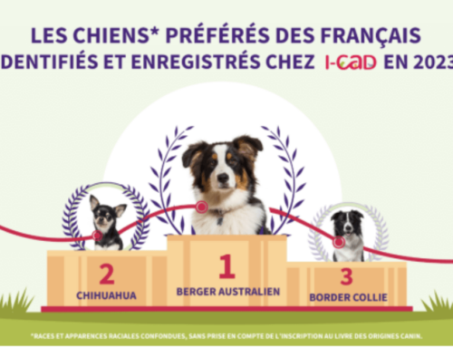 Les classements des chiens et des chats préférés des Français en 2023