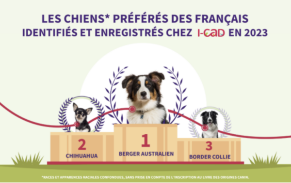 Chiens préférés des Français en 2023 (I-CAD)