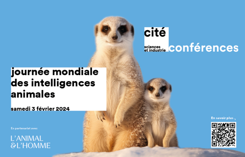 Journée mondiale des intelligences animales le samedi 3 février 2024 à la Cité des sciences et de l’industrie (Paris 19e)