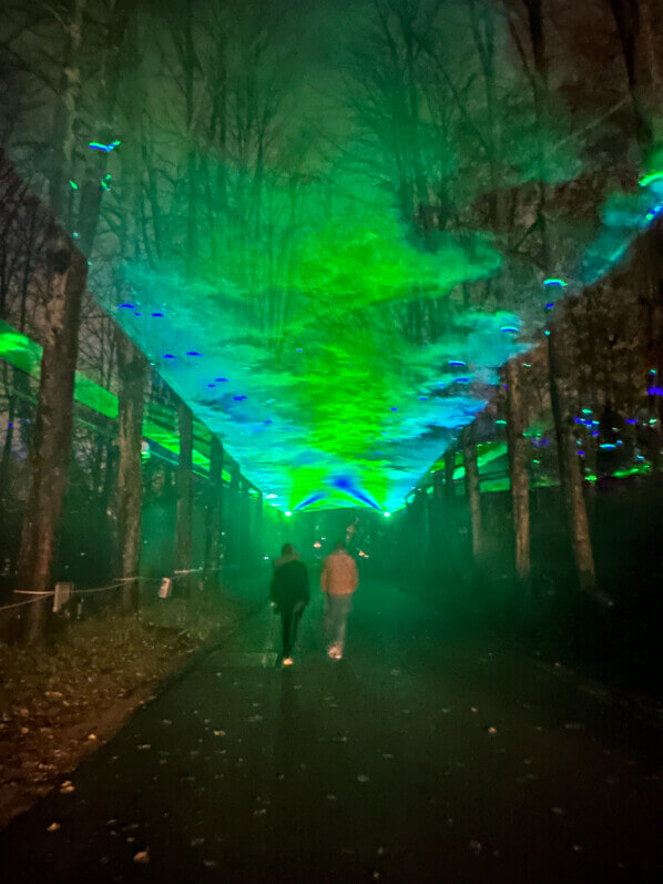 Lumières en Seine, parc de Saint-Cloud, Saint-Cloud (92)