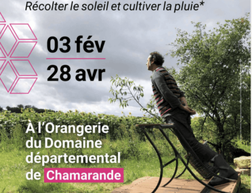 “Se planter- Récolter le soleil et cultiver la pluie”, exposition de Karine Bonneval jusqu’au 28 avril 2024 dans le Domaine de Chamarande
